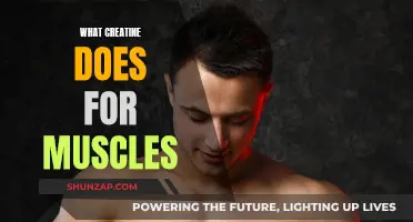 Creatine's Muscle-Building Benefits: What You Need to Know