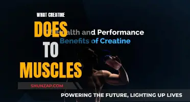 Creatine's Muscle-Building Benefits: What You Need to Know