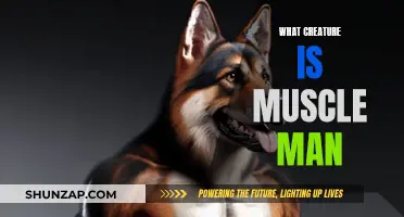 The Origin of Muscle Man's Character