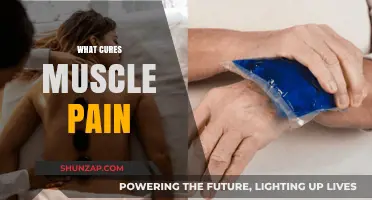 Effective Remedies to Relieve and Cure Muscle Pain Naturally
