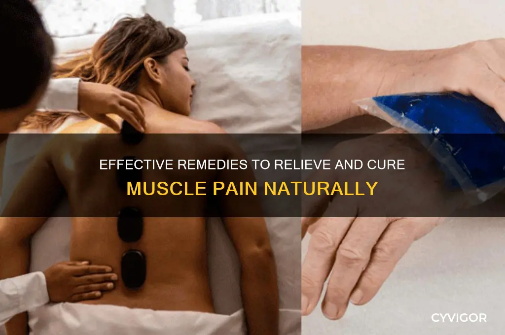 what cures muscle pain