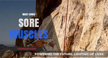 Effective Remedies to Relieve Sore Muscles After Intense Workouts