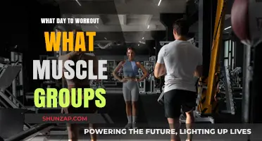 Optimize Your Workout Routine: Muscle Group Splits for Maximum Gains