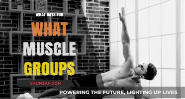 Strategic Workout Splits: Optimizing Muscle Group Training Days