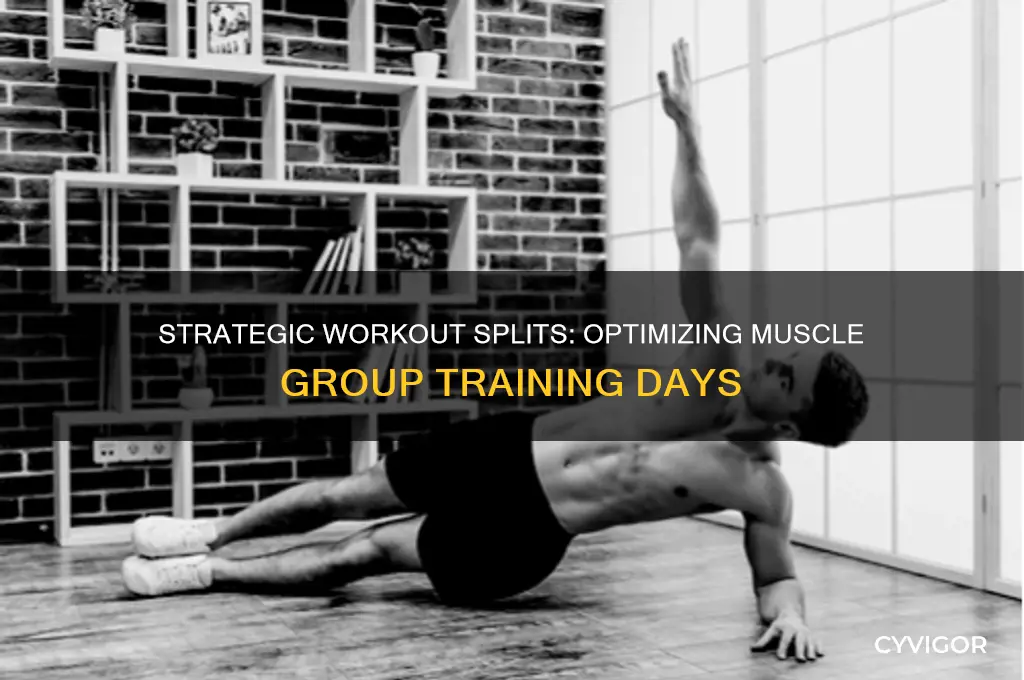 what days for what muscle groups