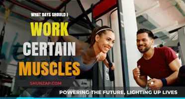 Effective Muscle Group Workout Schedule: Optimize Your Training Days