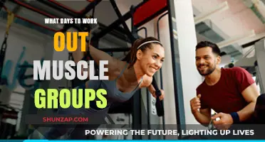 Effective Muscle Group Workout Days: Optimize Your Training Schedule