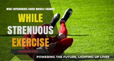 Preventing Exercise-Induced Muscle Cramps: Key Nutrient Deficiencies to Address