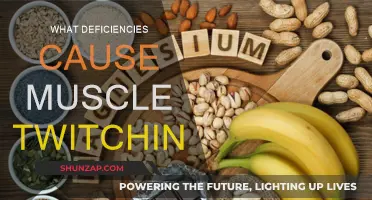 Muscle Twitching: Understanding the Deficiency Connection
