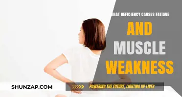 Unraveling Fatigue and Muscle Weakness: Key Nutrient Deficiencies to Blame
