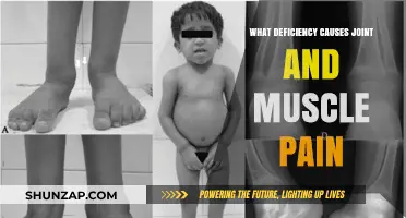 Unraveling the Link: Deficiencies Triggering Joint and Muscle Pain
