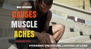 Unraveling Muscle Aches: Key Nutrient Deficiencies Behind Your Discomfort