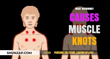 Unraveling Muscle Knots: Key Nutrient Deficiencies Behind Tight Muscles