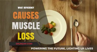 Unraveling Muscle Loss: Key Nutrient Deficiencies Behind Weakening Muscles