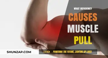 Unraveling the Link Between Nutrient Deficiency and Muscle Pulls