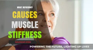 Unraveling Muscle Stiffness: Key Nutrient Deficiencies Behind Tight Muscles