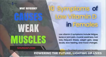 Weak Muscles: Uncovering the Vitamin and Mineral Deficiencies Behind It