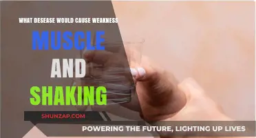 Understanding Muscle Weakness and Shaking: Diseases That Cause These Symptoms