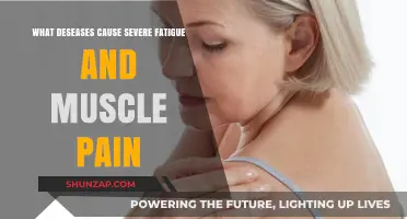 Severe Fatigue and Muscle Pain: Diseases That Could Be the Culprit