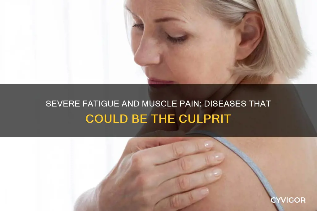 what deseases cause severe fatigue and muscle pain