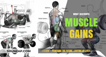 Avoid These Mistakes: What Destroys Muscle Gains and How to Prevent It