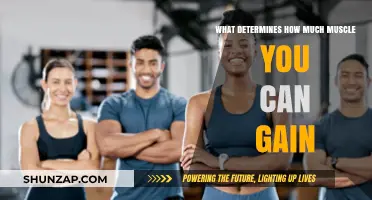 Factors Influencing Muscle Gain: Genetics, Training, Nutrition, and Recovery