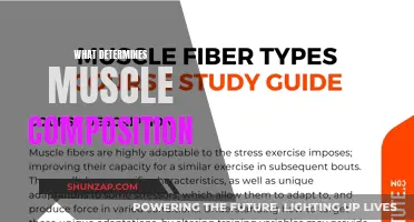 Muscle Composition: Nature or Nurture?