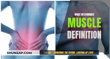 The Secret to Muscle Definition Revealed