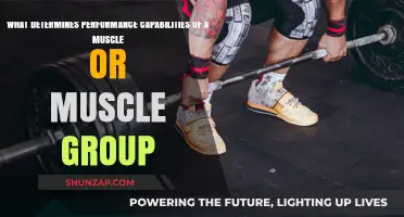 Unlocking Muscle Potential: Key Factors Shaping Performance Capabilities