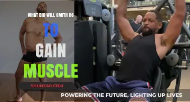 Will Smith's Muscle Transformation: Training, Diet, and Discipline Secrets
