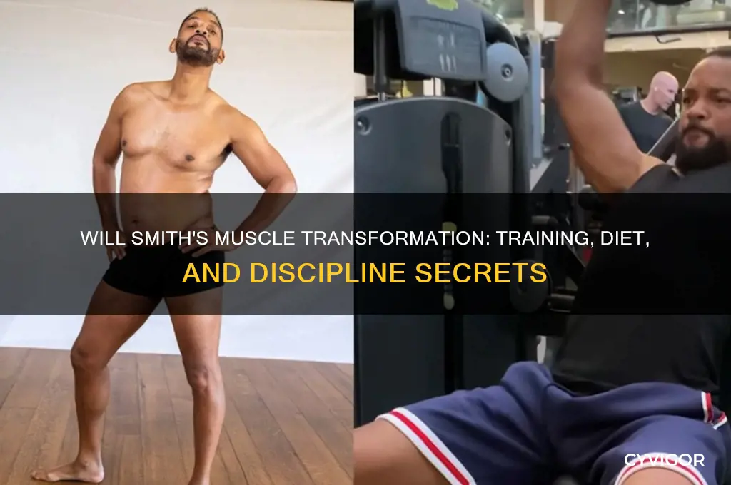 what did will smith do to gain muscle