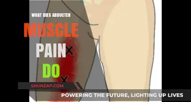 Understanding Abductor Muscle Pain: Causes, Symptoms, and Effective Relief Strategies