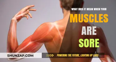 Understanding Muscle Soreness: Causes, Benefits, and Recovery Tips