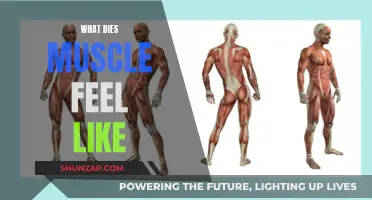 Understanding the Sensation of Muscle Death