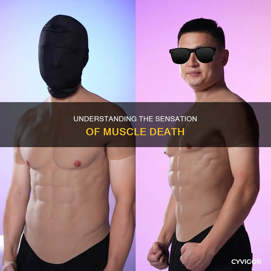 what dies muscle feel like