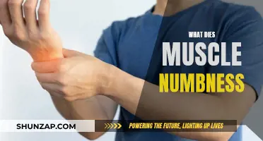 Understanding Muscle Numbness: Causes and Treatment Options