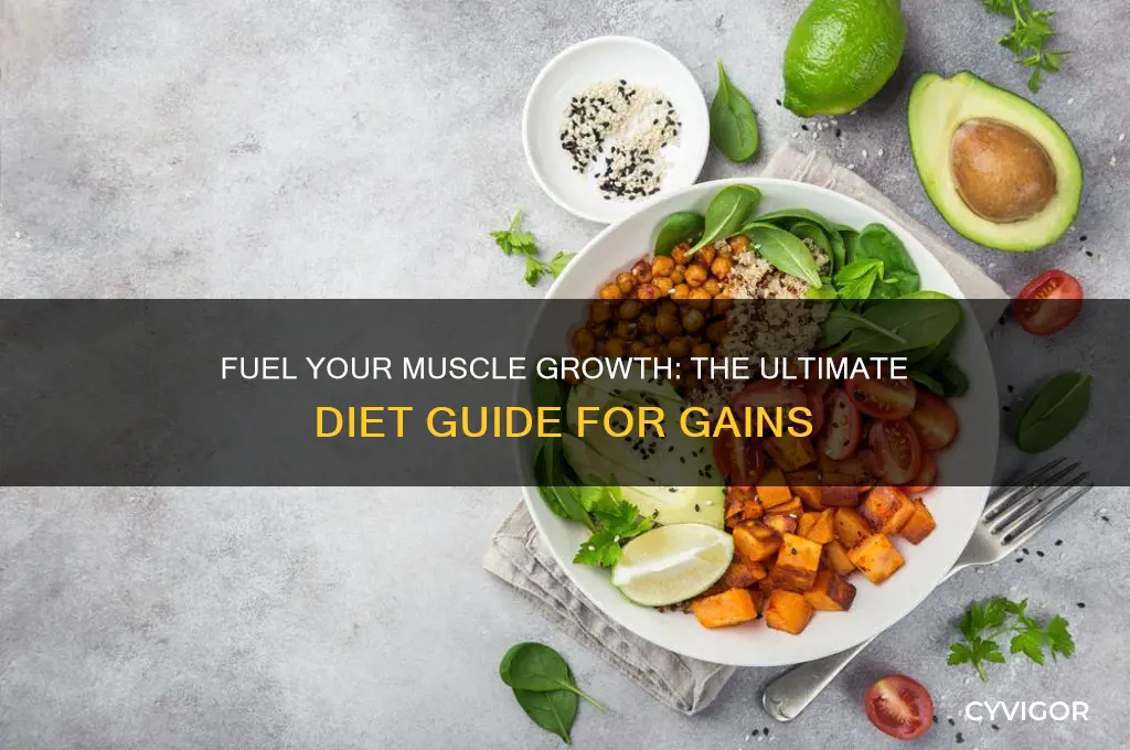 what diet do i need to gain muscle