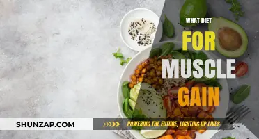 Fuel Your Gains: Optimal Diet Strategies for Muscle Growth