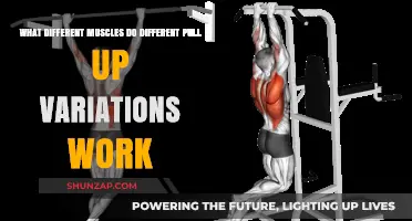 Pull-Up Power: Targeted Muscles in Various Grip Variations
