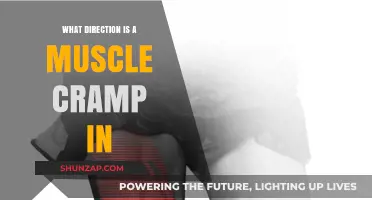 Understanding Muscle Cramps: Causes, Prevention, and Relief