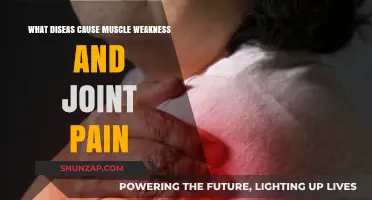 Muscle Weakness and Joint Pain: Diseases That Could Be the Cause