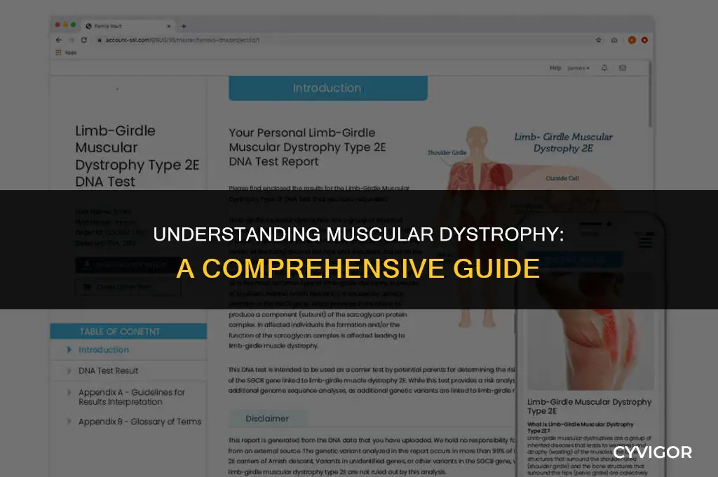 what disease affects your muscles