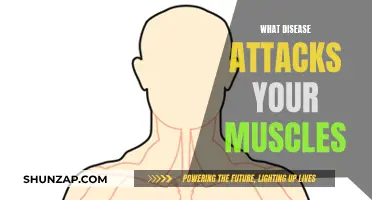 Muscle-Attacking Diseases: Understanding the Threat