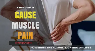 Understanding Muscle Pain: Diseases That Could Be the Culprit
