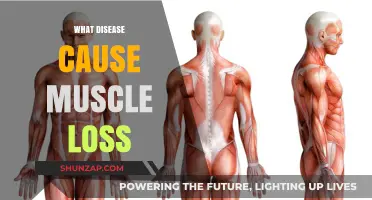 Understanding Muscle Loss: Diseases That Lead to Muscle Atrophy