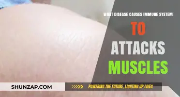 Understanding Myositis: When Your Immune System Attacks Your Muscles
