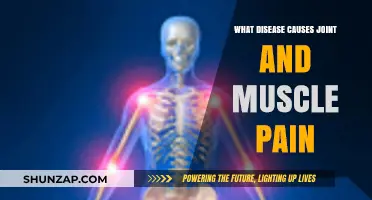 Understanding Joint and Muscle Pain: Diseases That Could Be the Cause