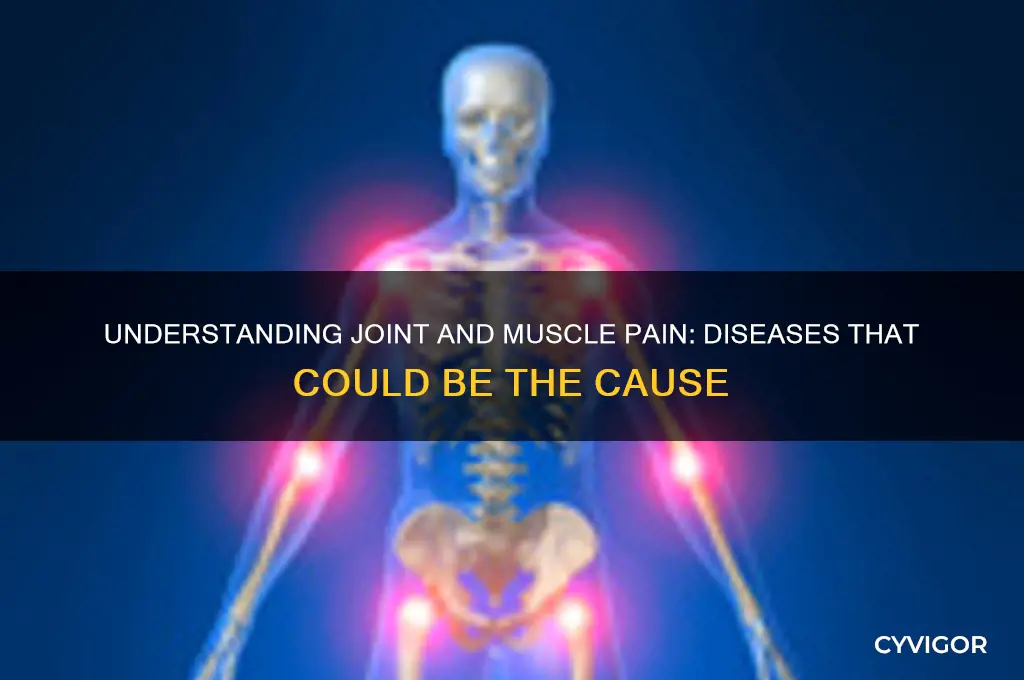 what disease causes joint and muscle pain