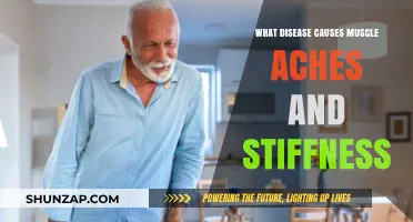 Unraveling the Mystery: Diseases Behind Muscle Aches and Stiffness Explained