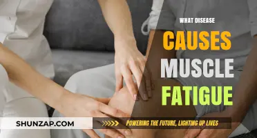 Understanding Muscle Fatigue: Diseases That Drain Your Energy Explained